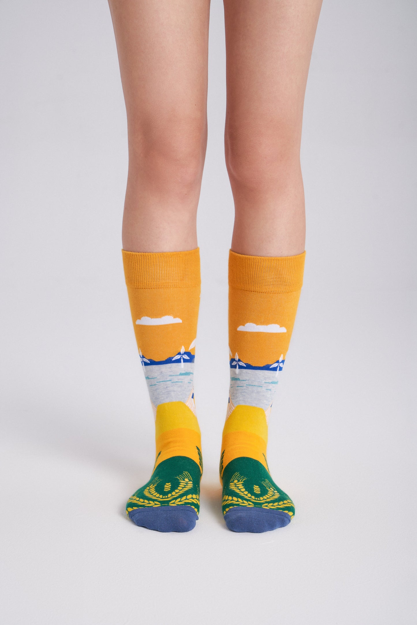 Collectible Art Inspired Crew Socks