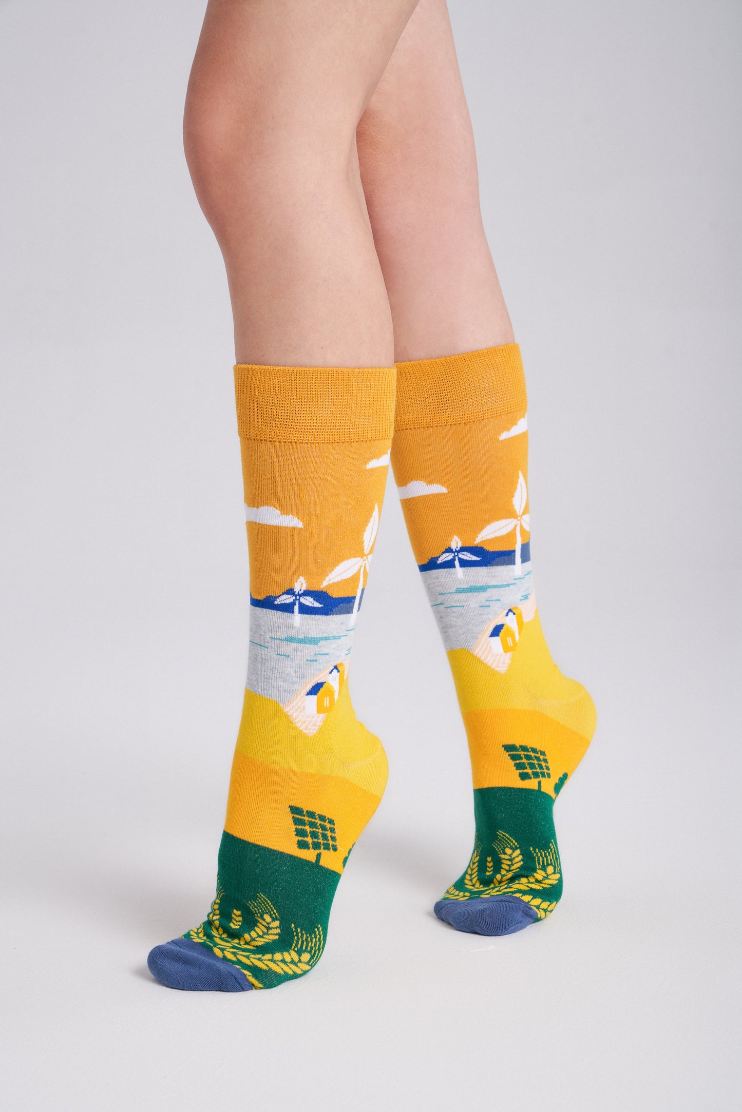 Collectible Art Inspired Crew Socks