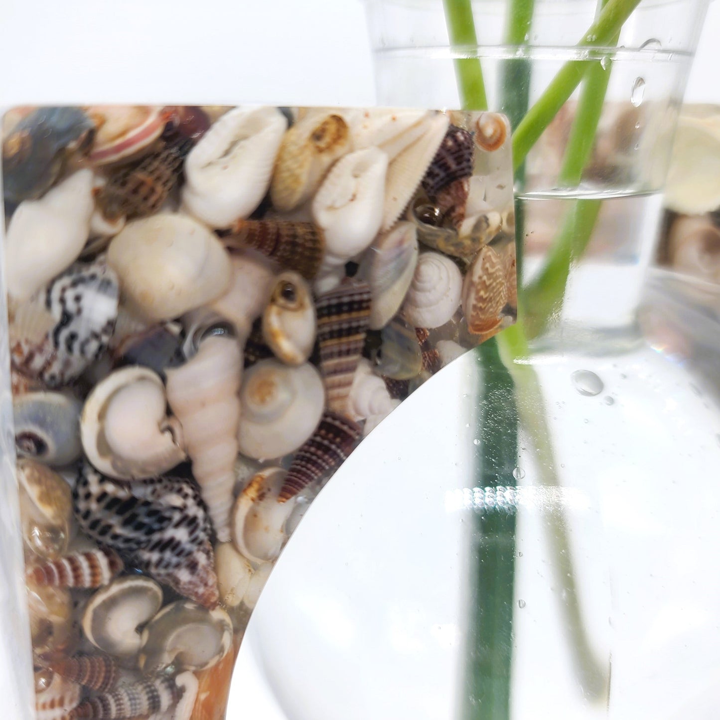 Square Propagation Flower Vase Made with Resin and Seashells