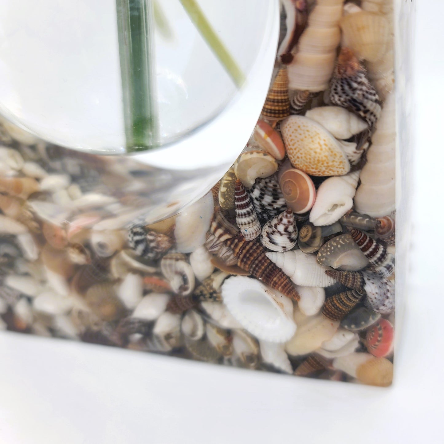 Square Propagation Flower Vase Made with Resin and Seashells