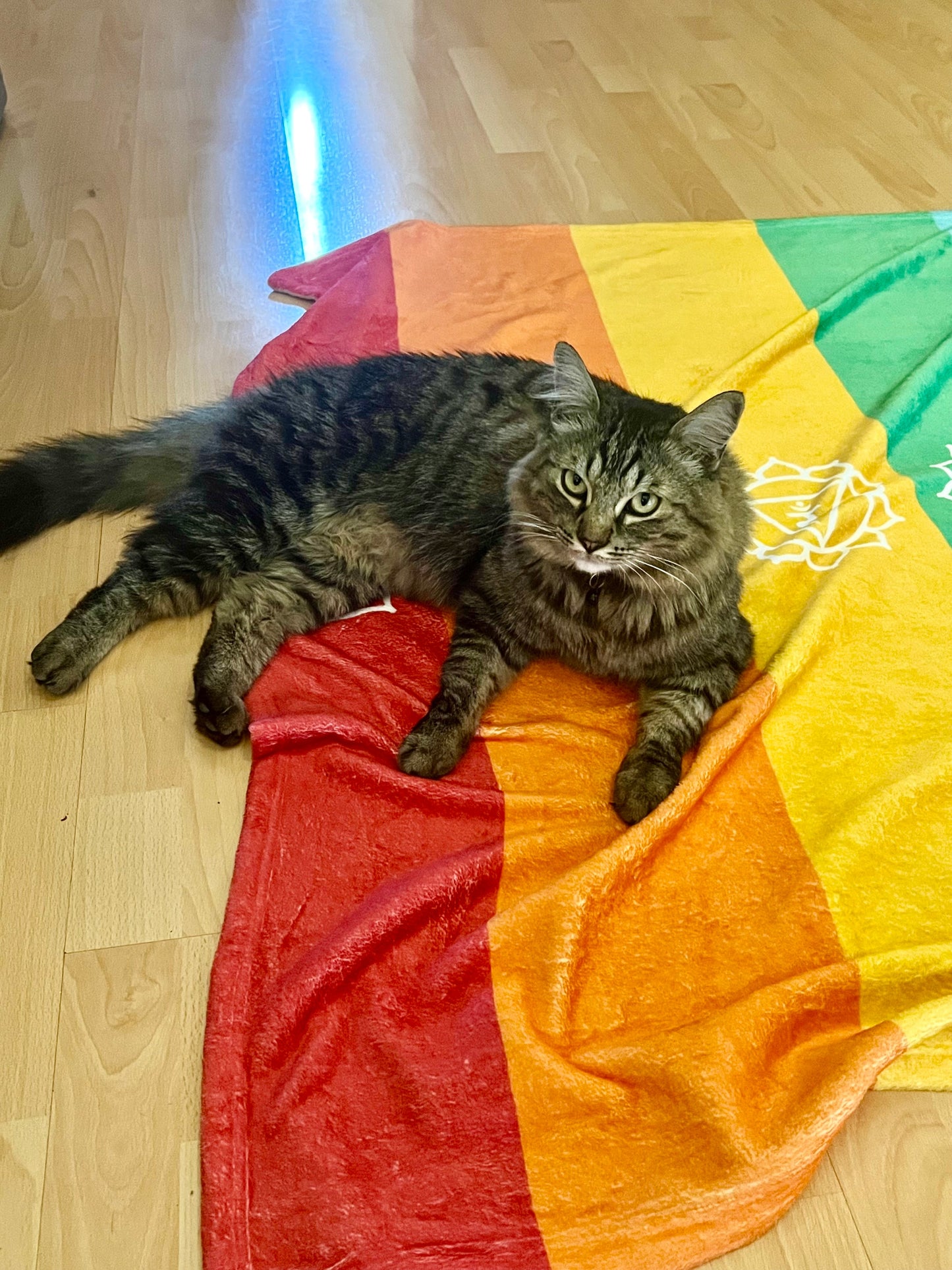 7 Chakras Pet Color Therapy Throw Blanket