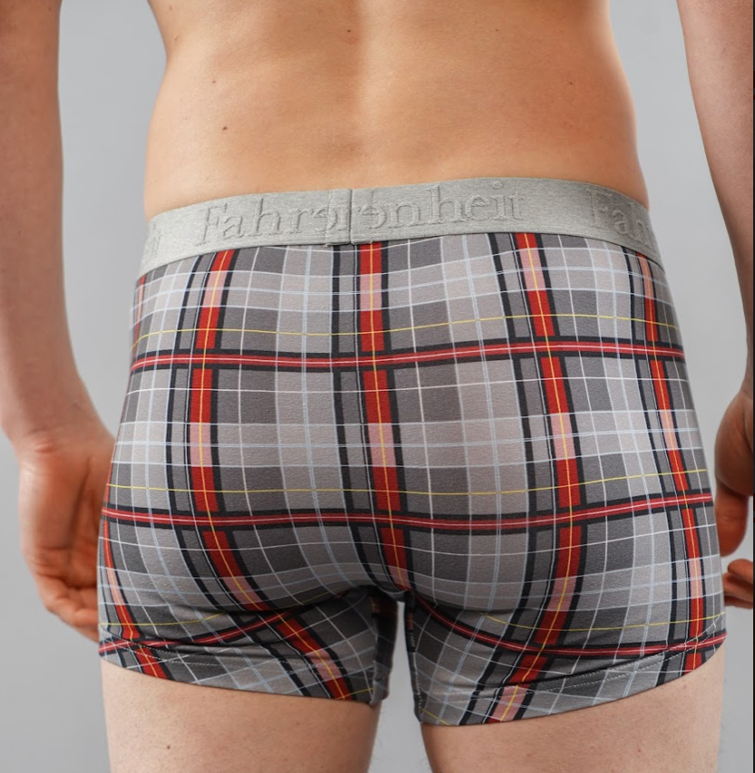 Grant Trunk/ Grey Burgundy Plaid - Concordia Style Boutique