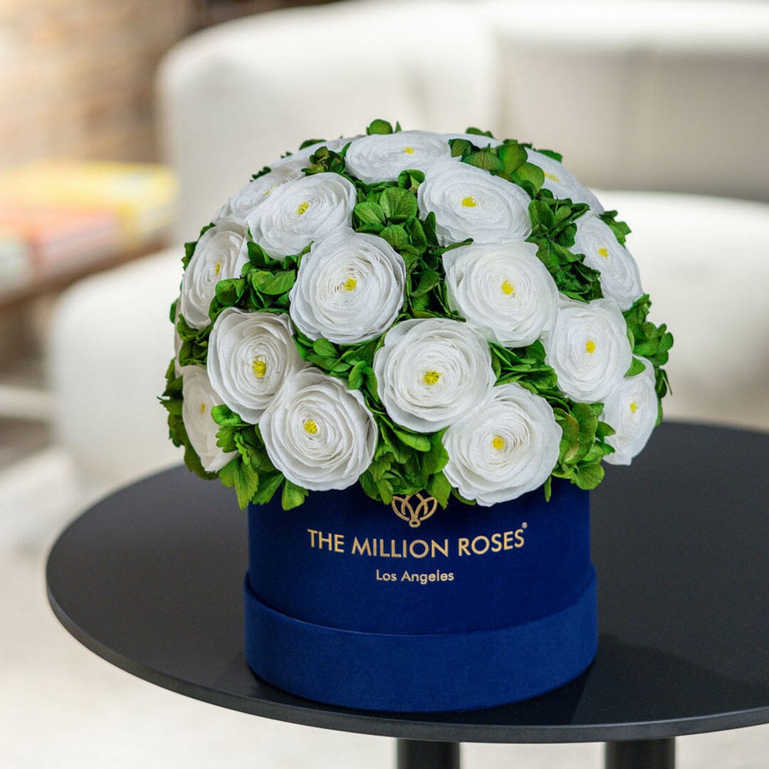 Classic Royal Blue Suede Box | White Persian Buttercups & Green Hydrangeas