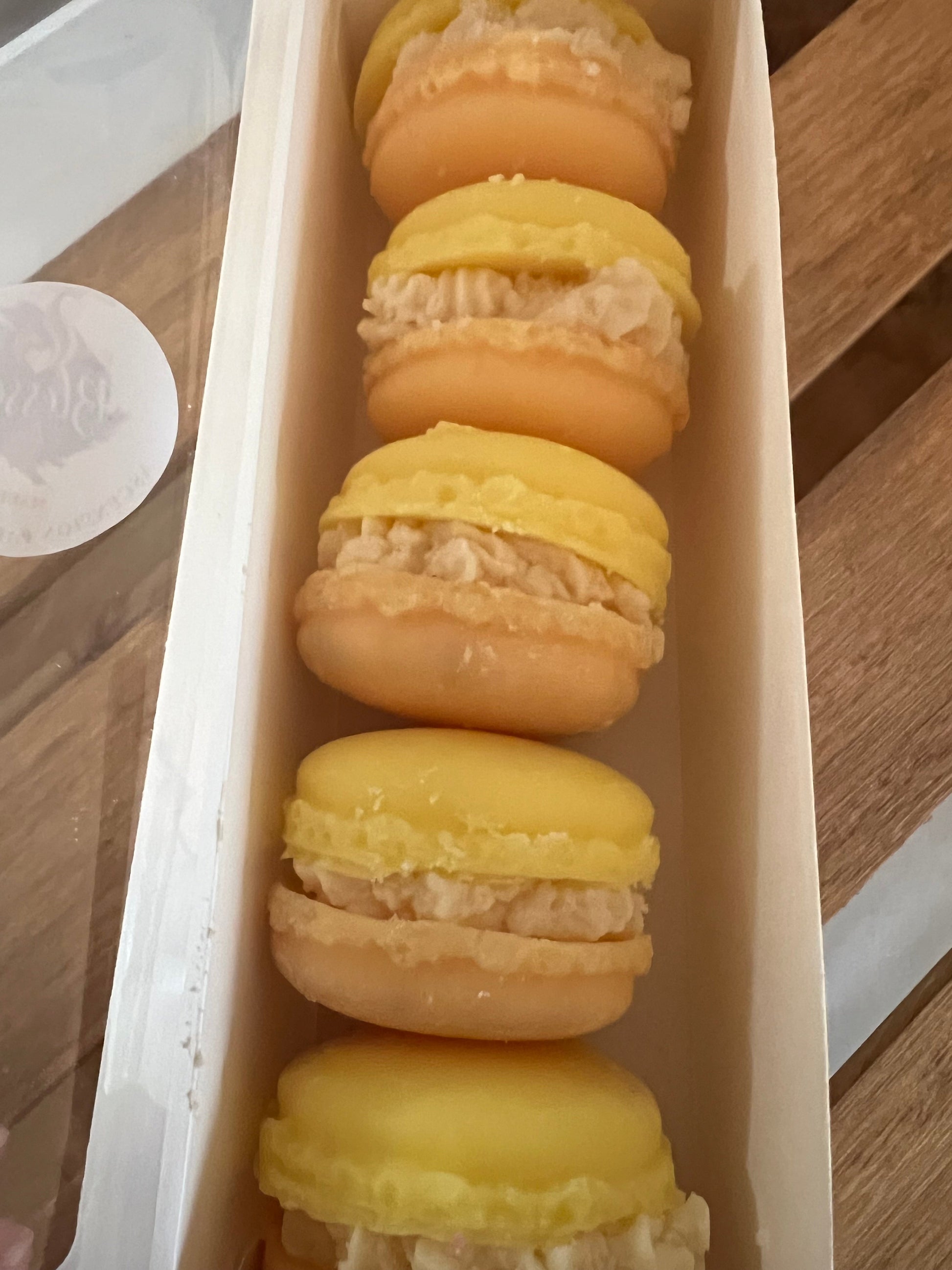 Macaron Sampler Packs - Concordia Style Boutique