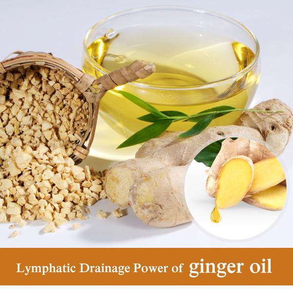 Plant Therapy Lymphatic Drainage Ginger Oil - Premium Plant Therapy Lymphatic Drainage Ginger Oil from Concordia Style Boutique - Just $11.95! Shop now at Concordia Style Boutique