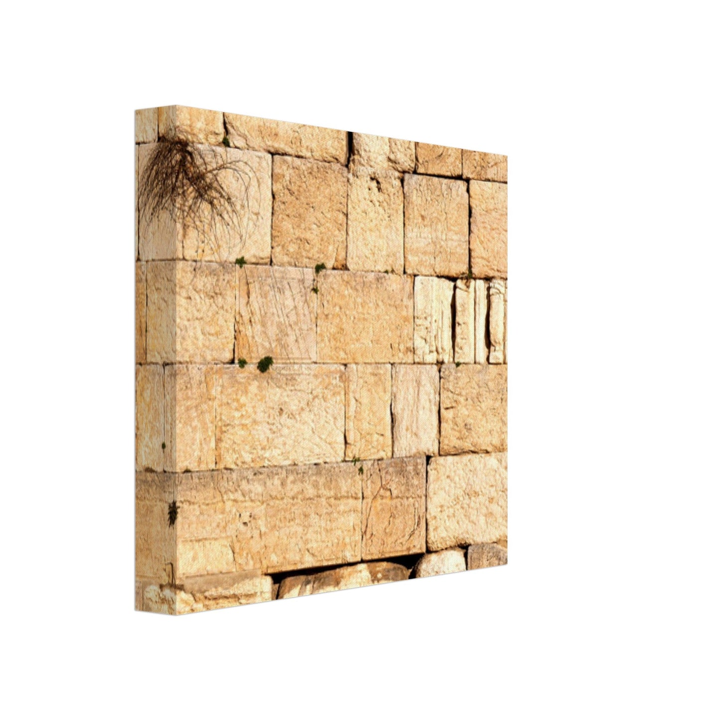 The Western Wall Brick Canvas Print