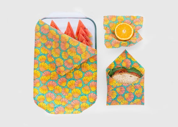 Beeswax Food Wrap - Sunrise Shell Print - Concordia Style Boutique