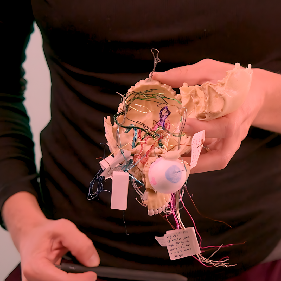 Integrative Cranio-Sacral Therapy (5.5 hrs) - Concordia Style Boutique