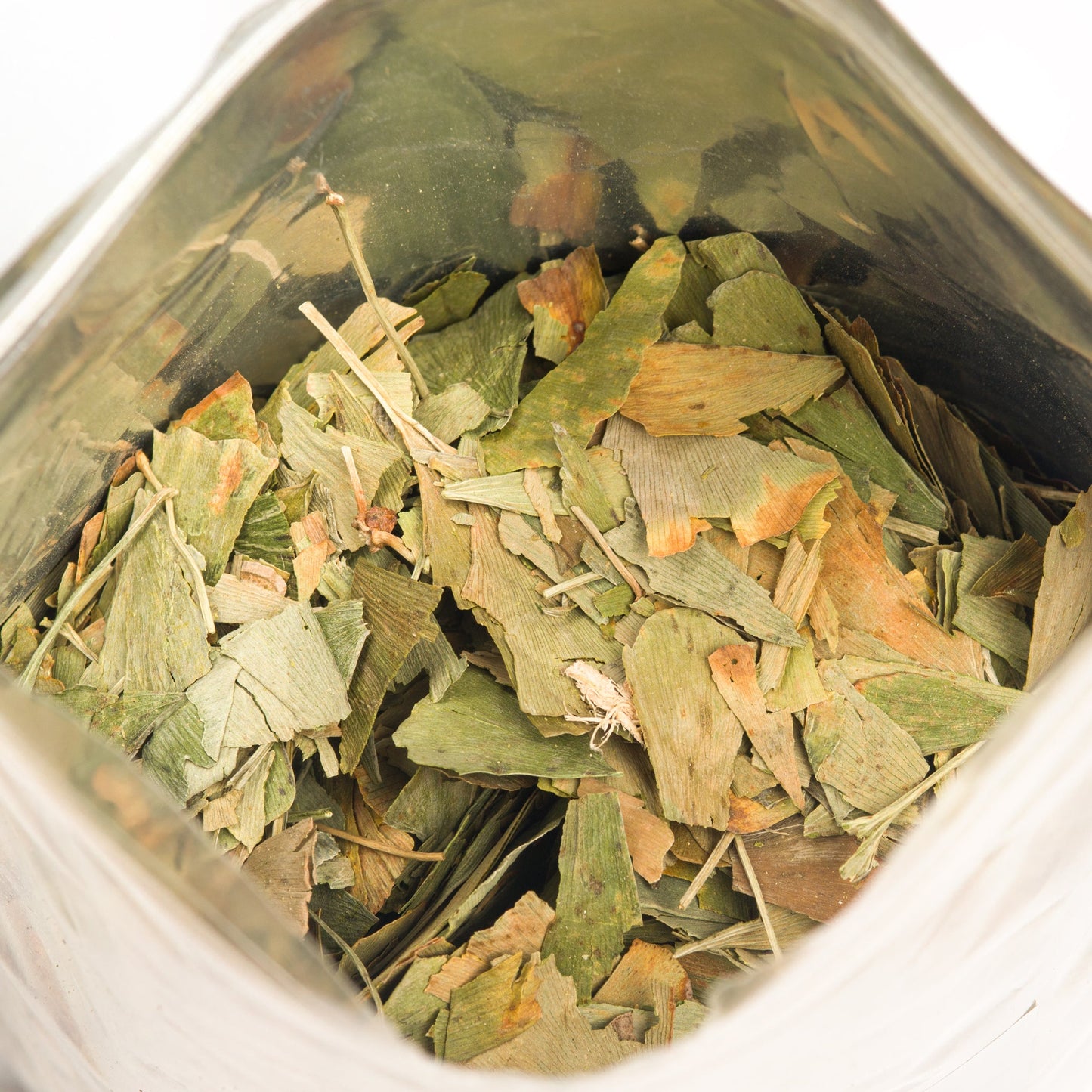 Organic Ginkgo Leaf Tea – 200g Premium Ginkgo Biloba Leaves with Sea Buckthorn - Concordia Style Boutique