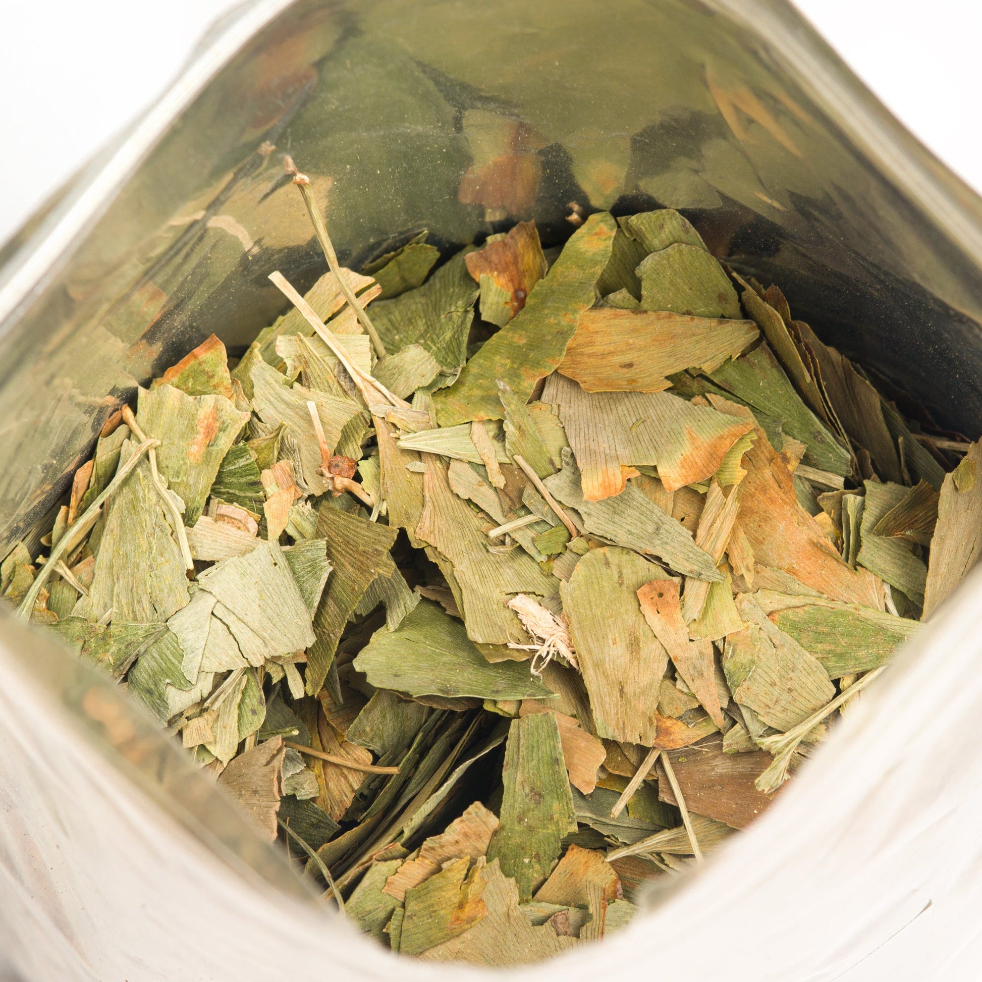 Organic Ginkgo Leaf Tea – 200g Premium Ginkgo Biloba Leaves with Sea Buckthorn - Concordia Style Boutique