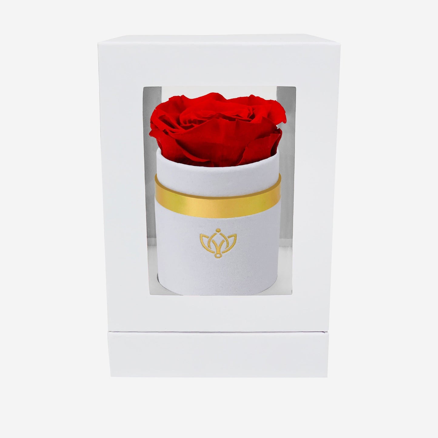 Single White Suede Box | Red Rose