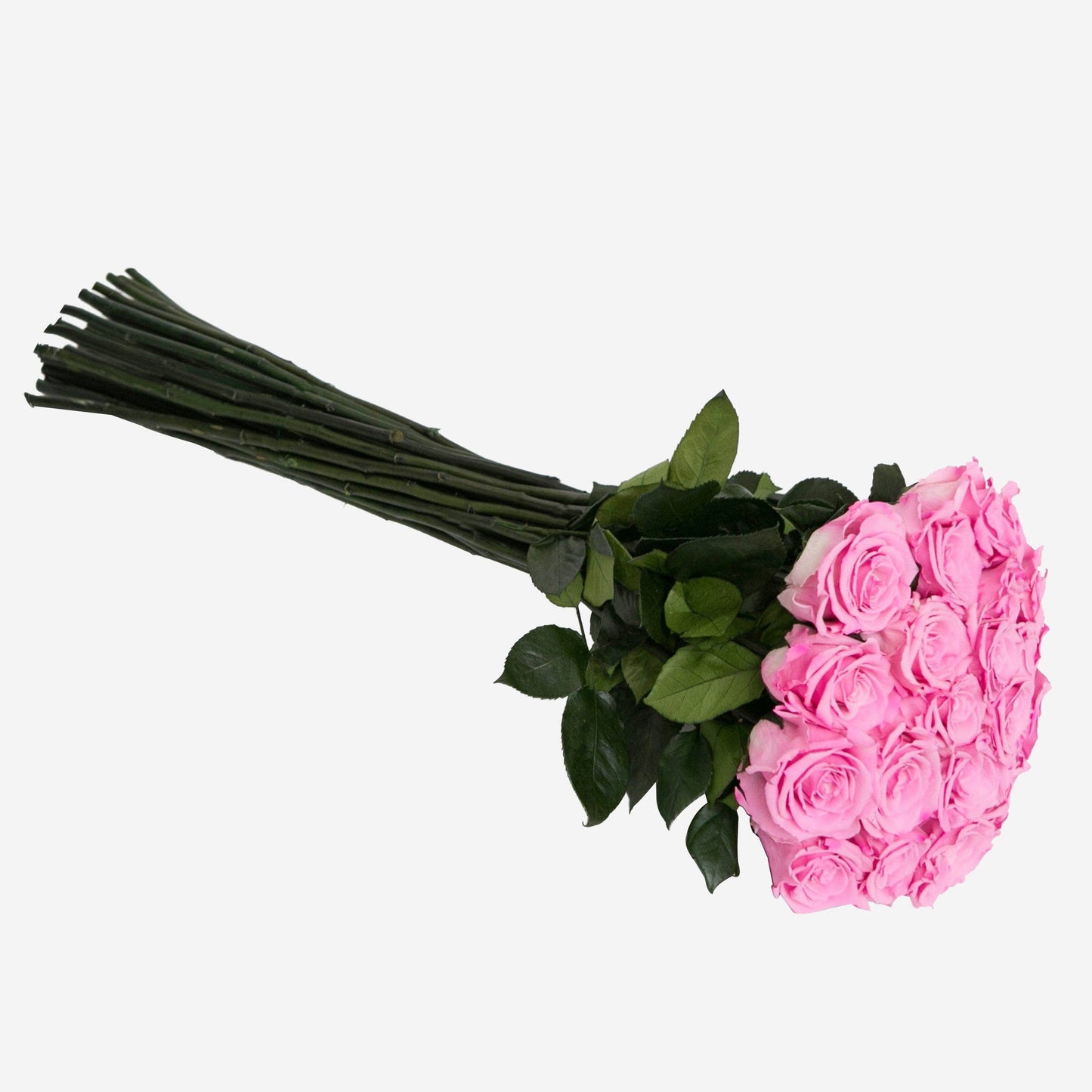 Long Stem Roses | Candy Pink Roses