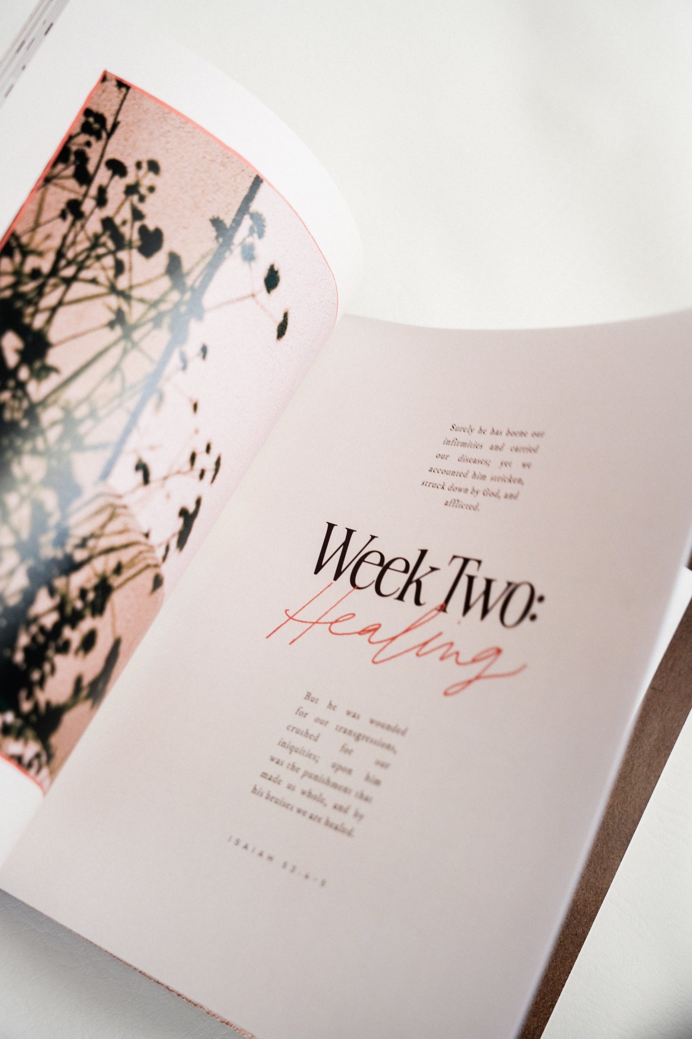 Rescued: A Study on the Lamb of God - Concordia Style Boutique