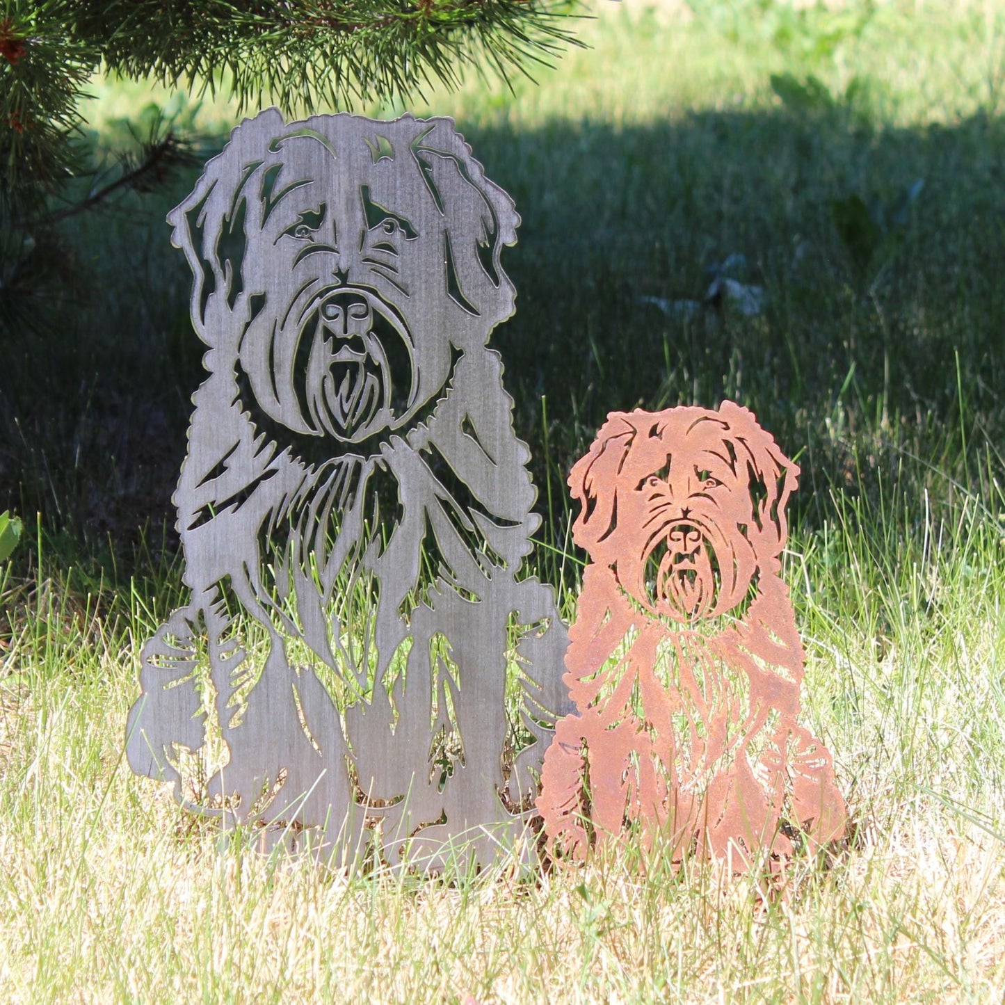 Bouvier Des Flandres