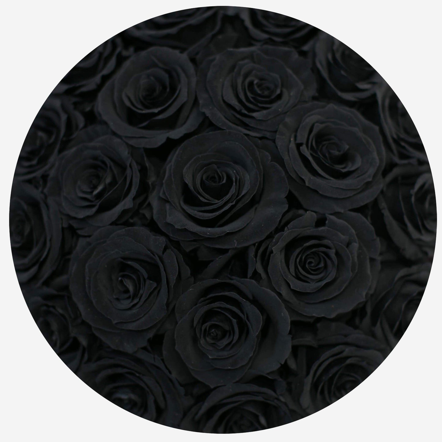 Basic White Box | Black Roses