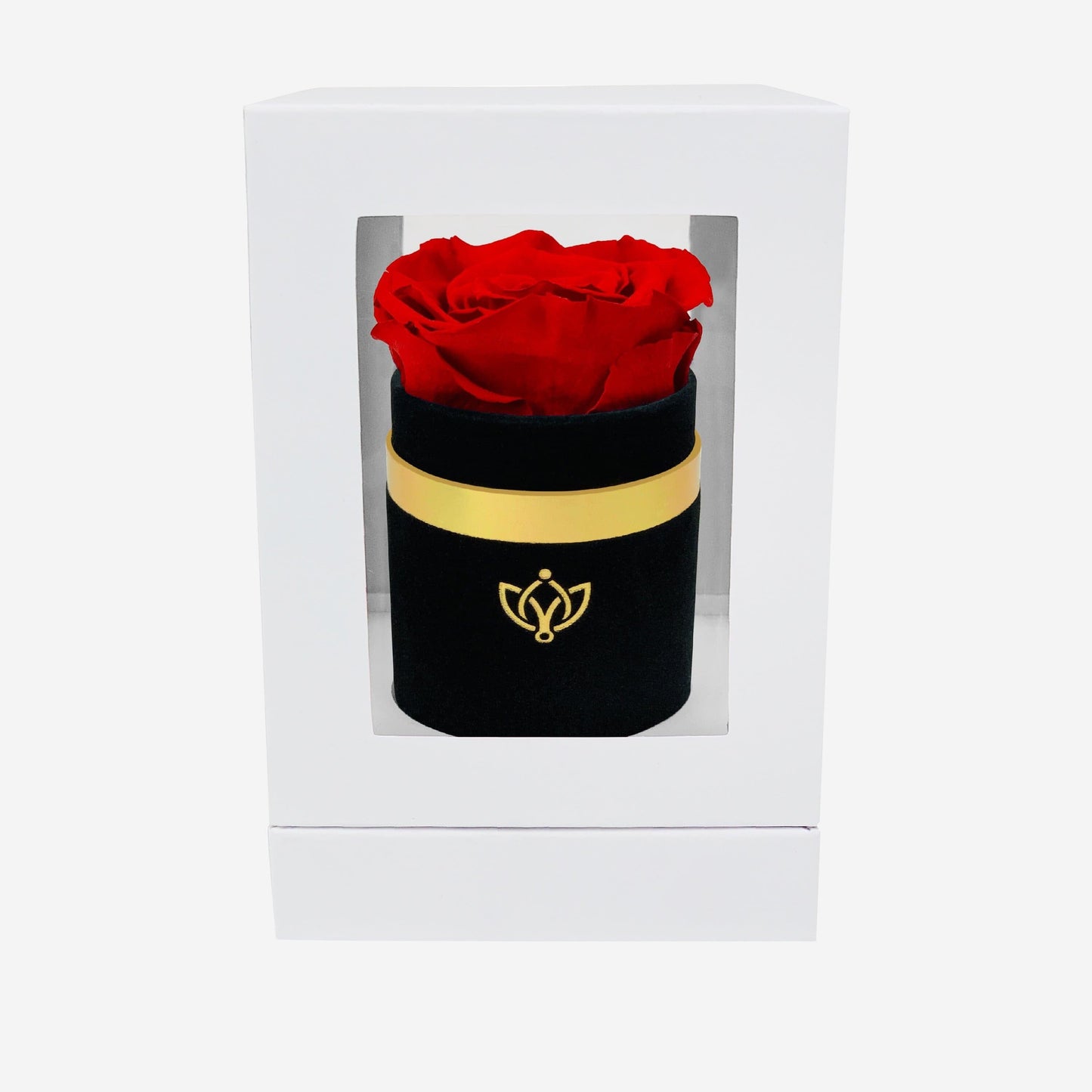 Single Black Suede Box | Red Rose