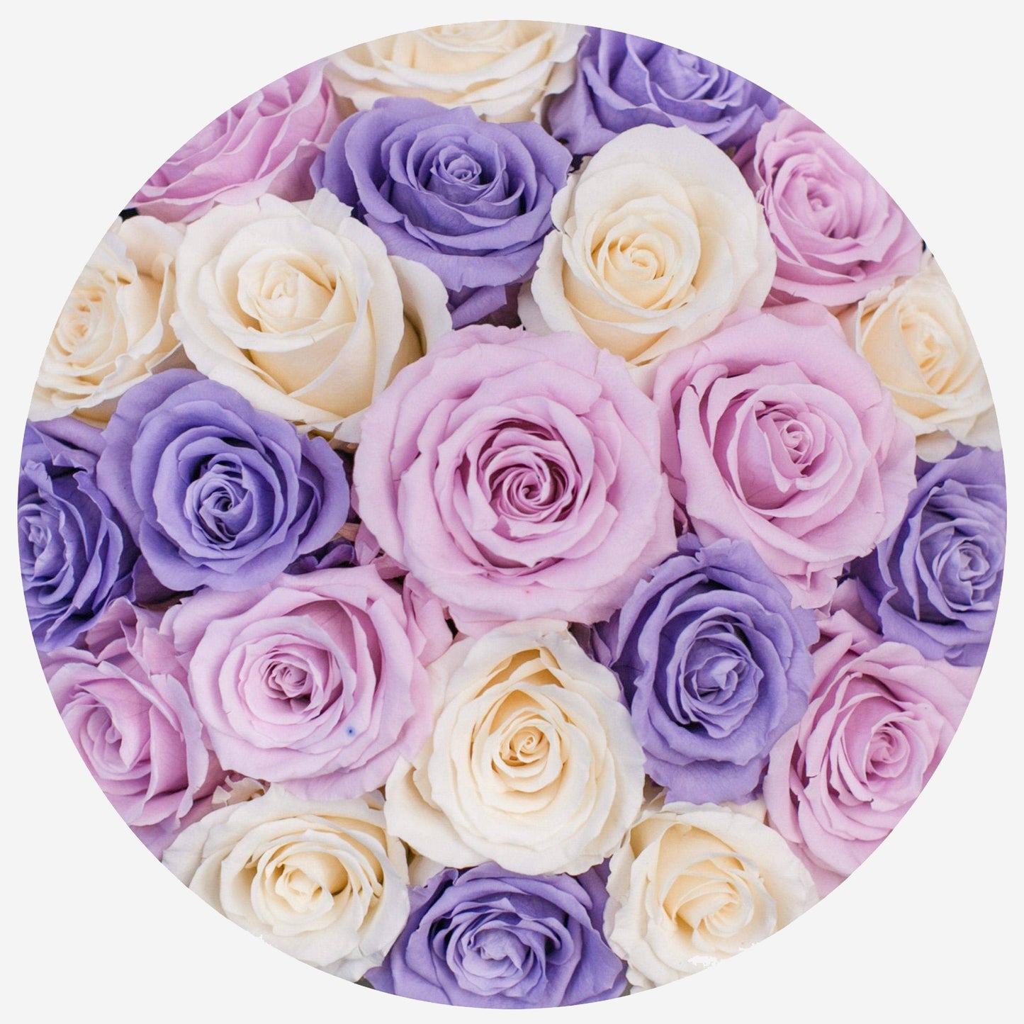 Classic Light Pink Suede Dome Box | Violet & Ivory & Pink Roses