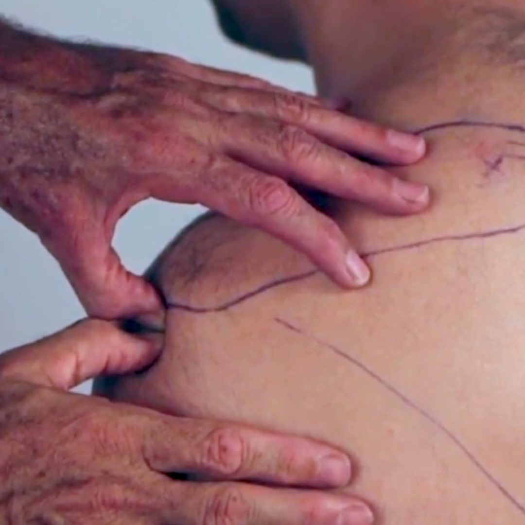 NAT Treating the Rotator Cuff (4 hrs) - Concordia Style Boutique