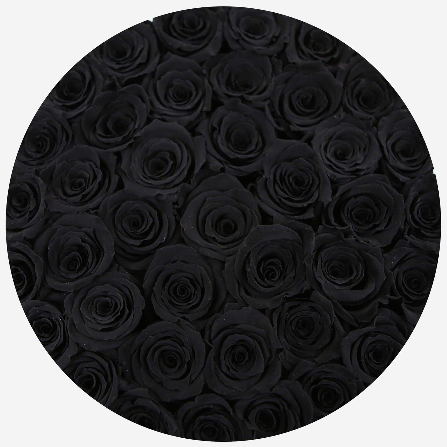 Supreme Black Box | Black Roses