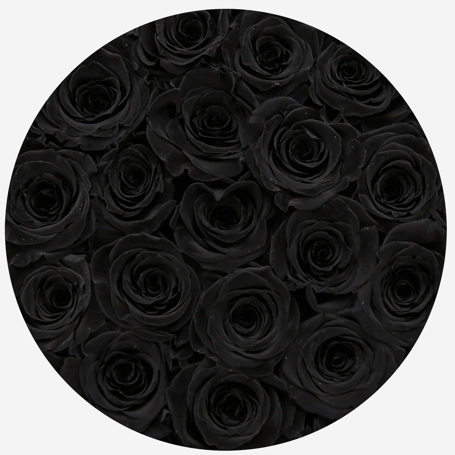 Classic White Box | Black Roses