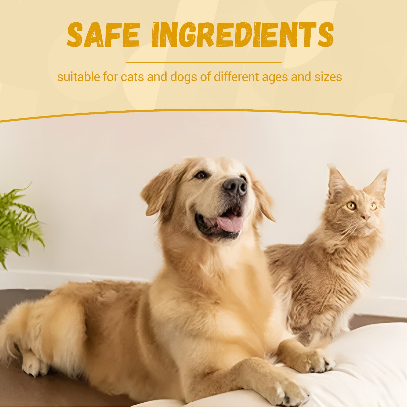 Pet Nutritional Supplements Enhance Energy Vitality - Premium Pet Nutritional Supplements Enhance Ener from Concordia Style Boutique - Just $9.21! Shop now at Concordia Style Boutique