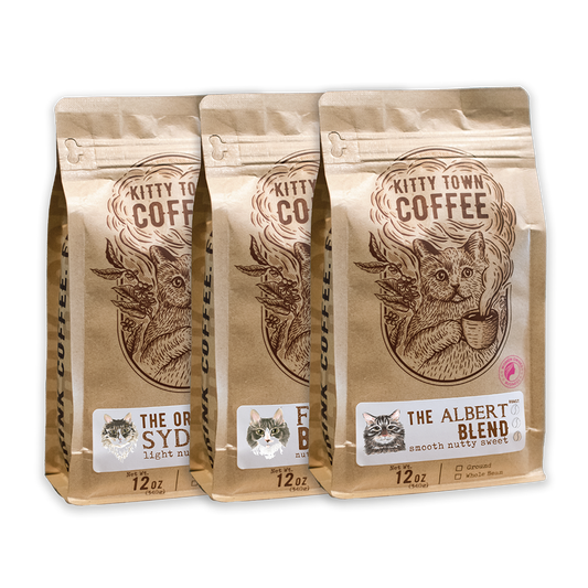 3 Bag Coffee Sampler: Albert, Fezzik, Sydney - Concordia Style Boutique