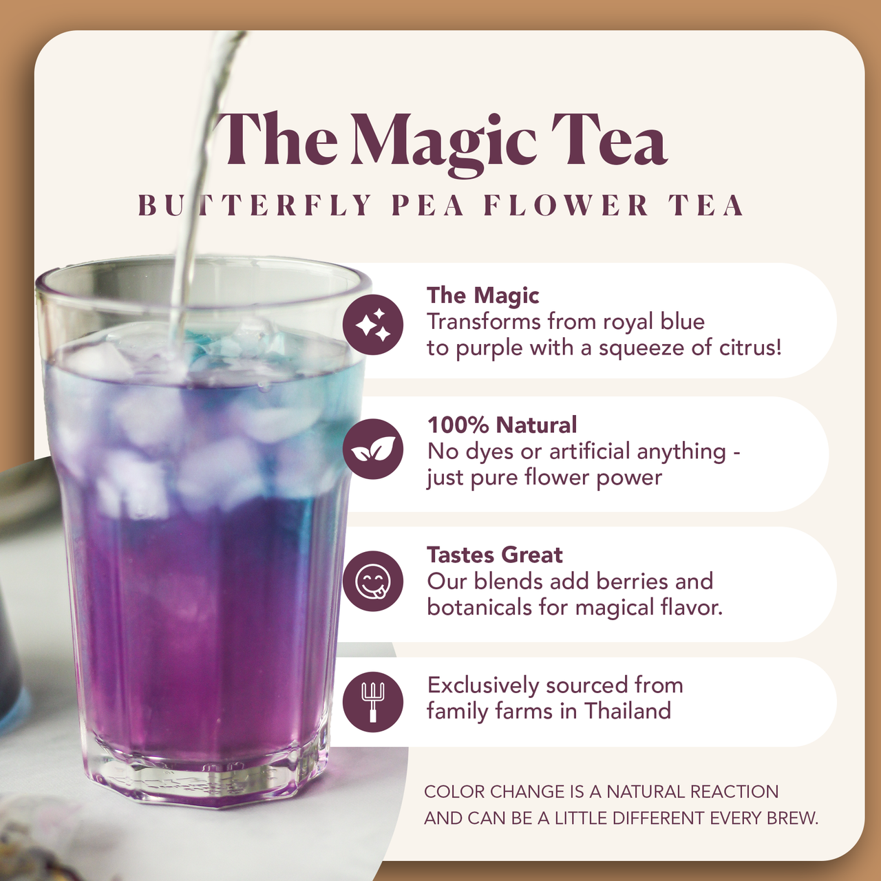 Butterfly Pea Flowers - Concordia Style Boutique