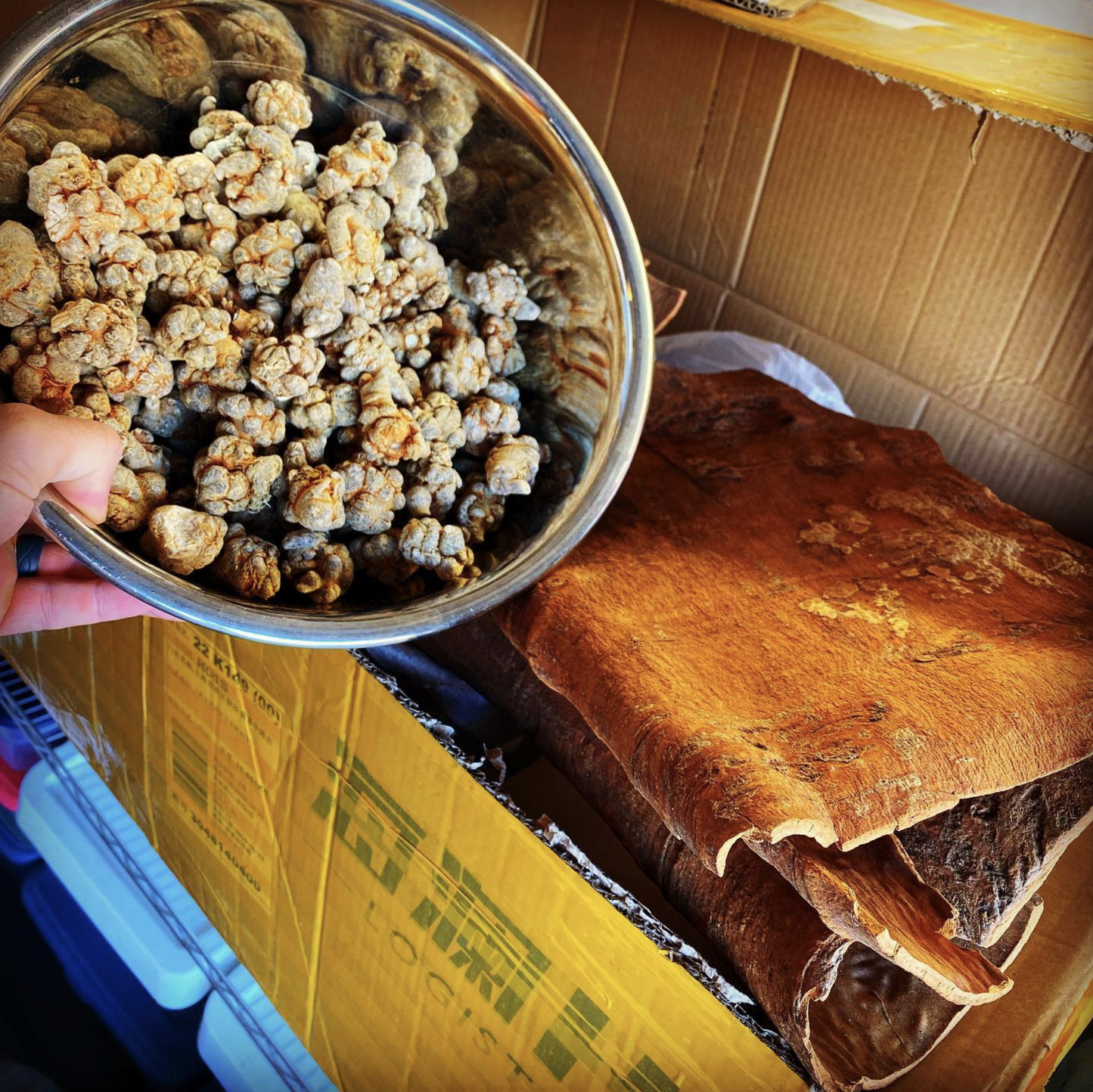 Evil Bone Water - Concordia Style Boutique