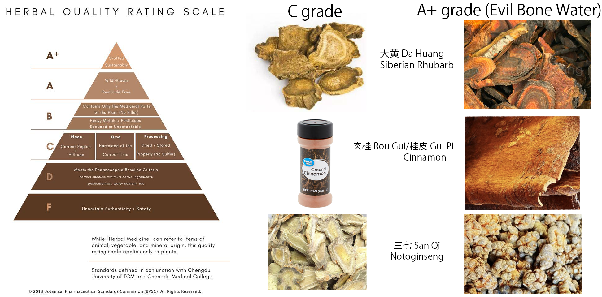 Evil Bone Water - Concordia Style Boutique