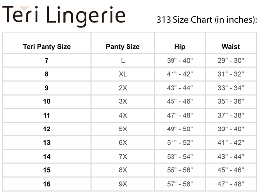 Grace Lace Trim Microfiber Brief Panty (Style 313) - Concordia Style Boutique