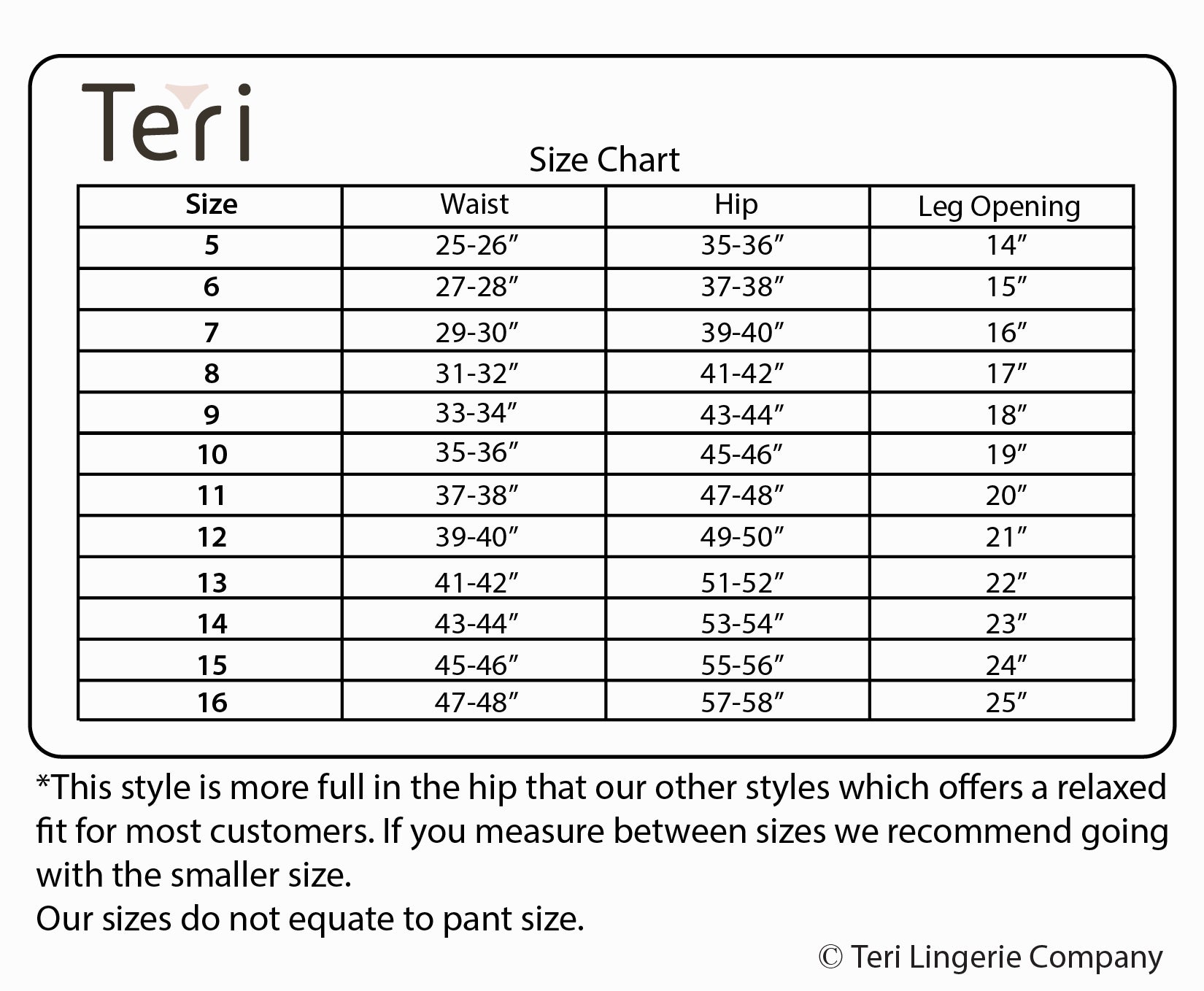 Nylon Brief Panty (Style 331/Plain Jane) 4 Pack in Blue - Concordia Style Boutique