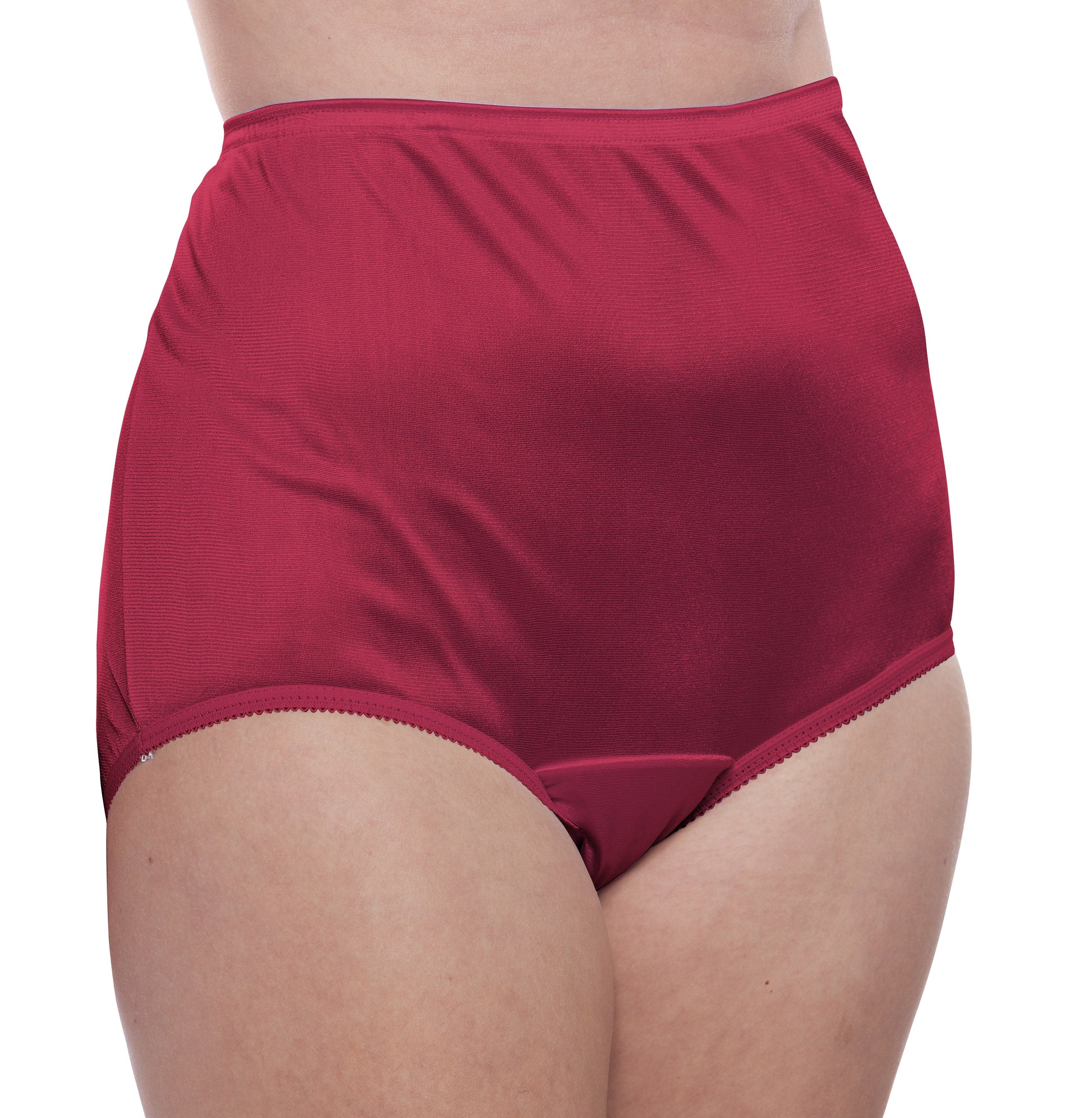 Nylon Brief Panty (Style 331/Plain Jane) 4 Pack in Wine - Concordia Style Boutique
