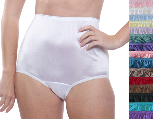 Nylon Brief Panty (Style 331/Plain Jane) Surprise Color 10 Pack - Concordia Style Boutique