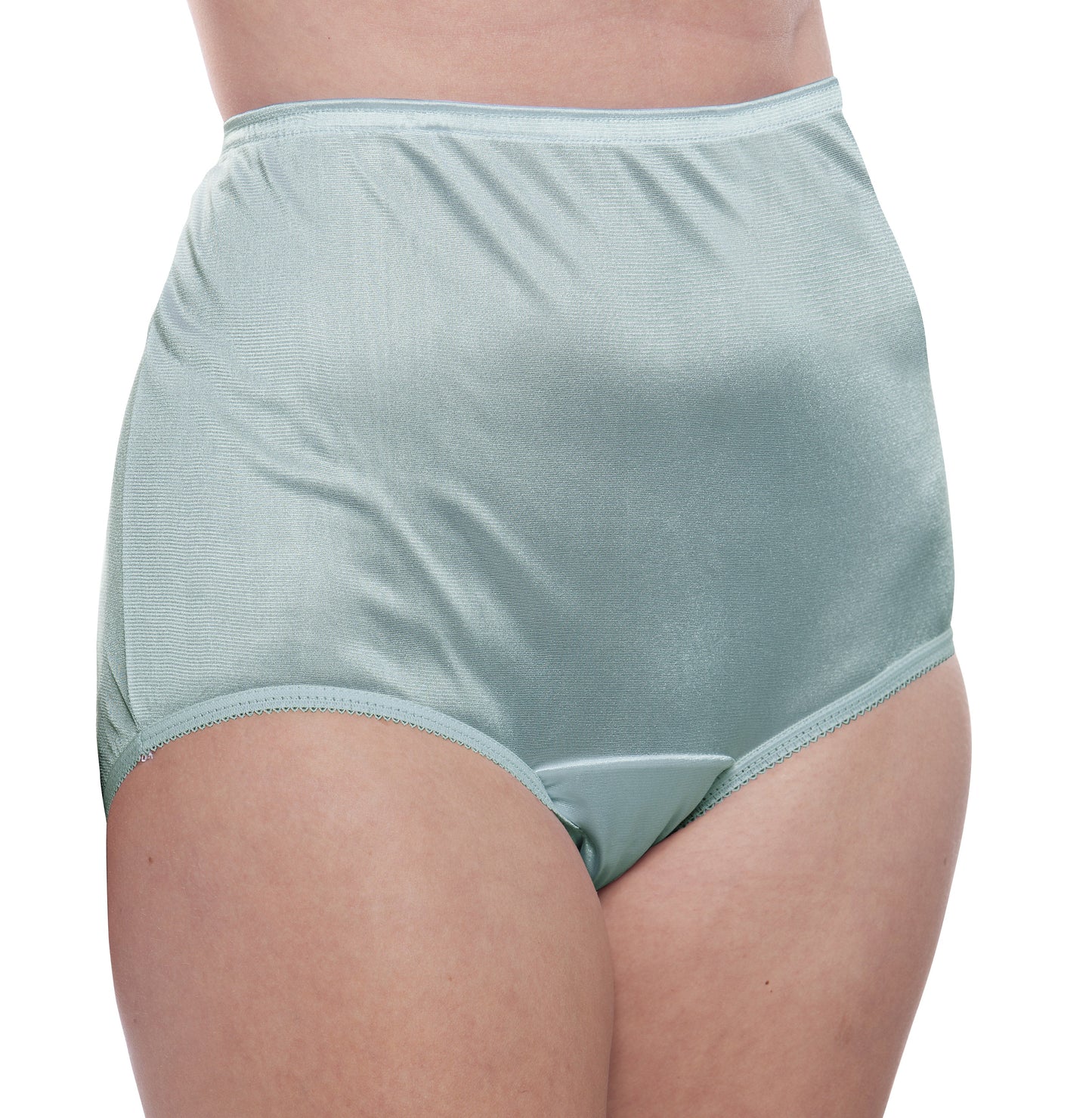 Nylon Brief Panty (Style 331/Plain Jane) Surprise Color 10 Pack - Concordia Style Boutique