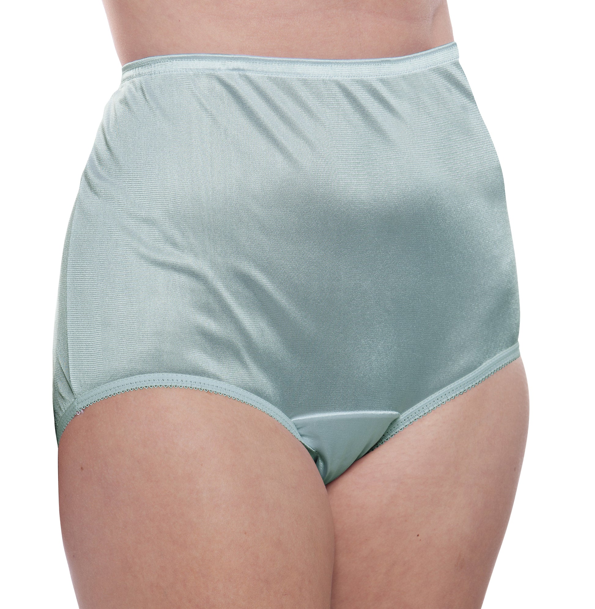 Nylon Brief Panty (Style 331/Plain Jane) Surprise Color 10 Pack - Concordia Style Boutique