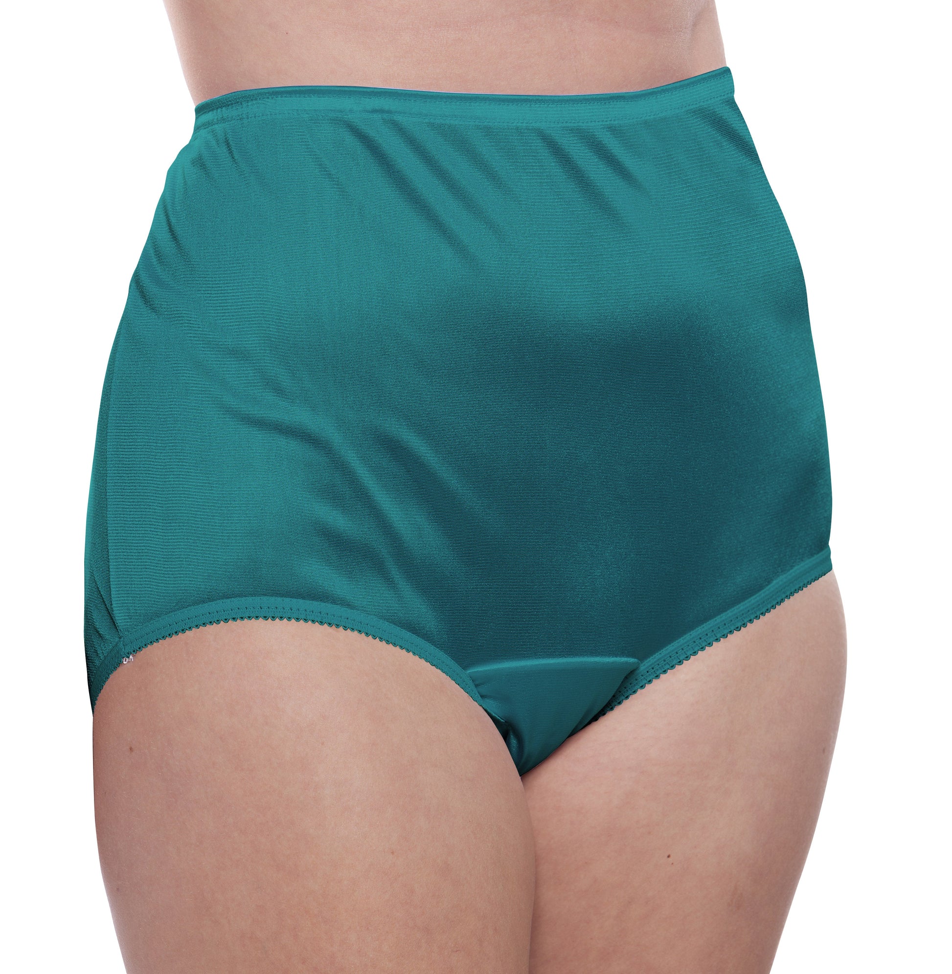 Nylon Brief Panty (Style 331/Plain Jane) Surprise Color 10 Pack - Concordia Style Boutique