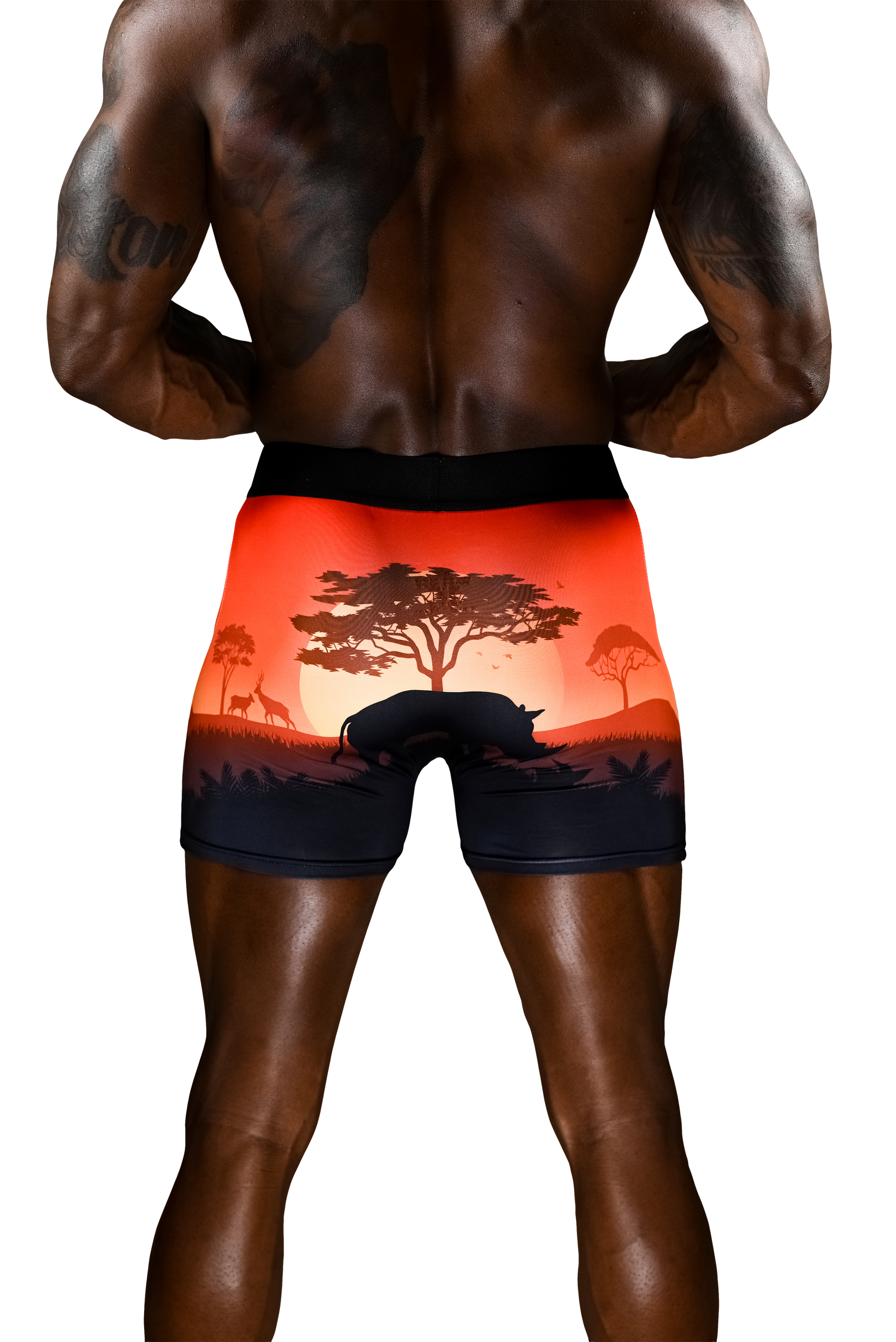 KingLion Edition (No Fly) - Concordia Style Boutique