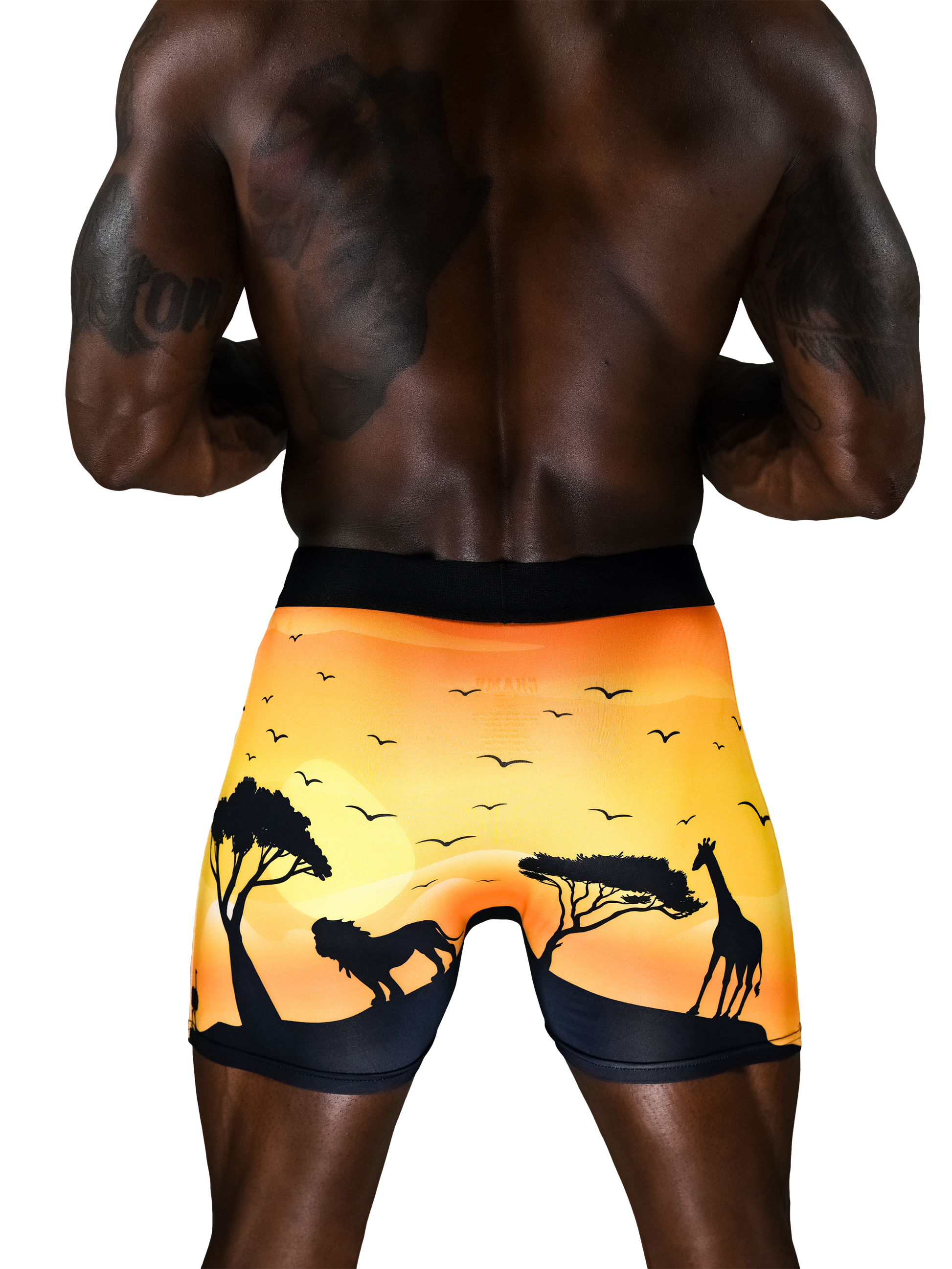 KingLion Edition (No Fly) - Concordia Style Boutique