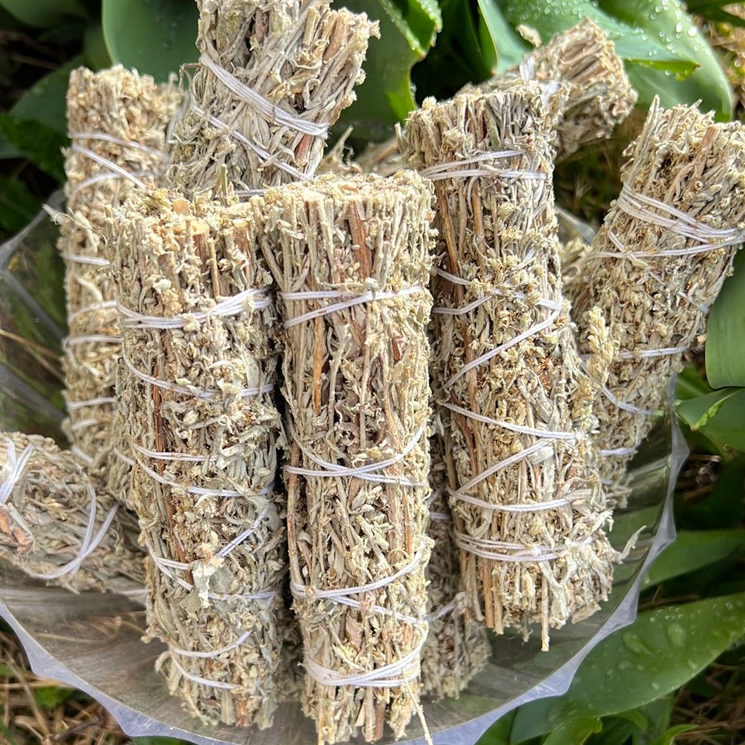 Black Smudge Sage - Mugwort - Concordia Style Boutique
