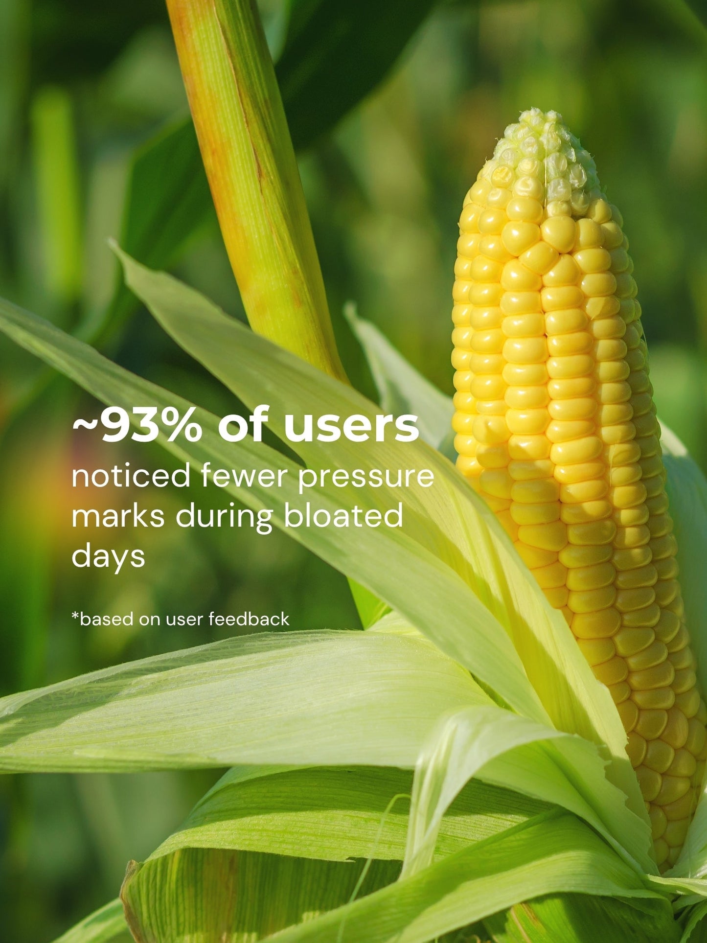 Corn Bae Cloud-Soft Lacy Boyshorts