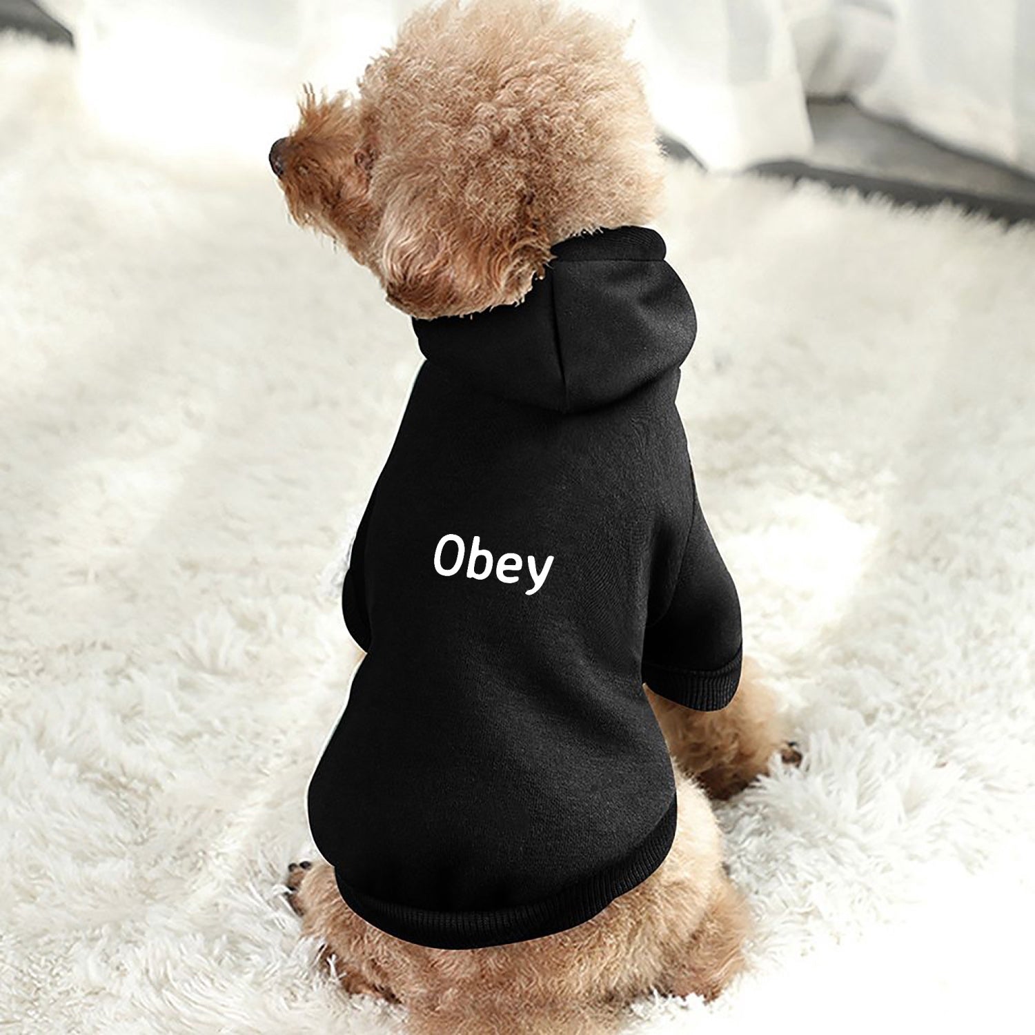 Pet Hooded Suit - "Obey" - Premium pet hoodie from Concordia Style Boutique - Just $17.50! Shop now at Concordia Style Boutique