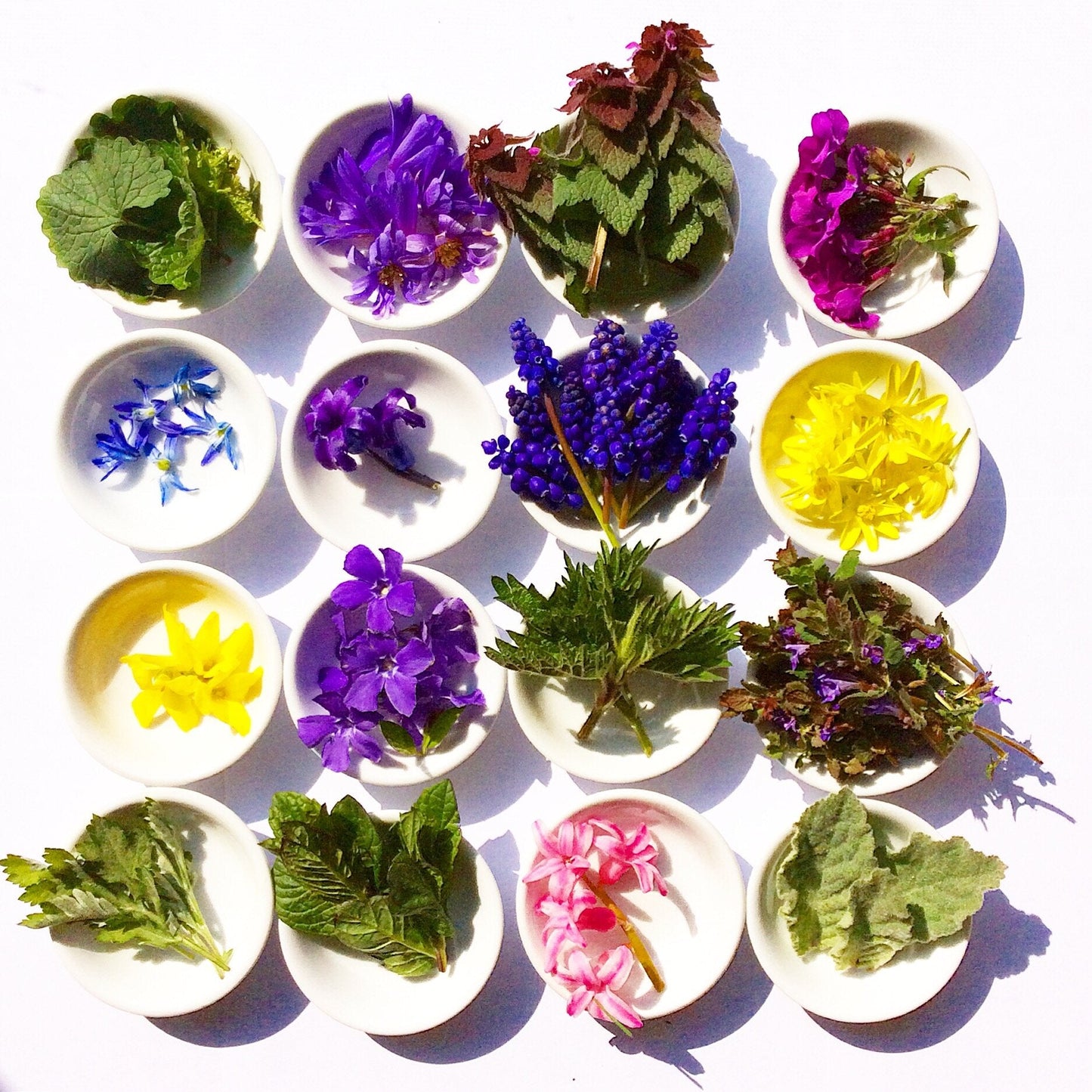 Wild Flower Hair Serum - Concordia Style Boutique