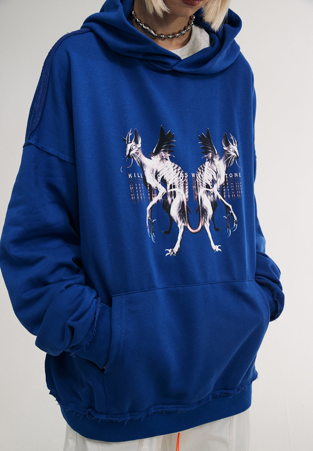 Flying Devil Cats Hoodie - Concordia Style Boutique