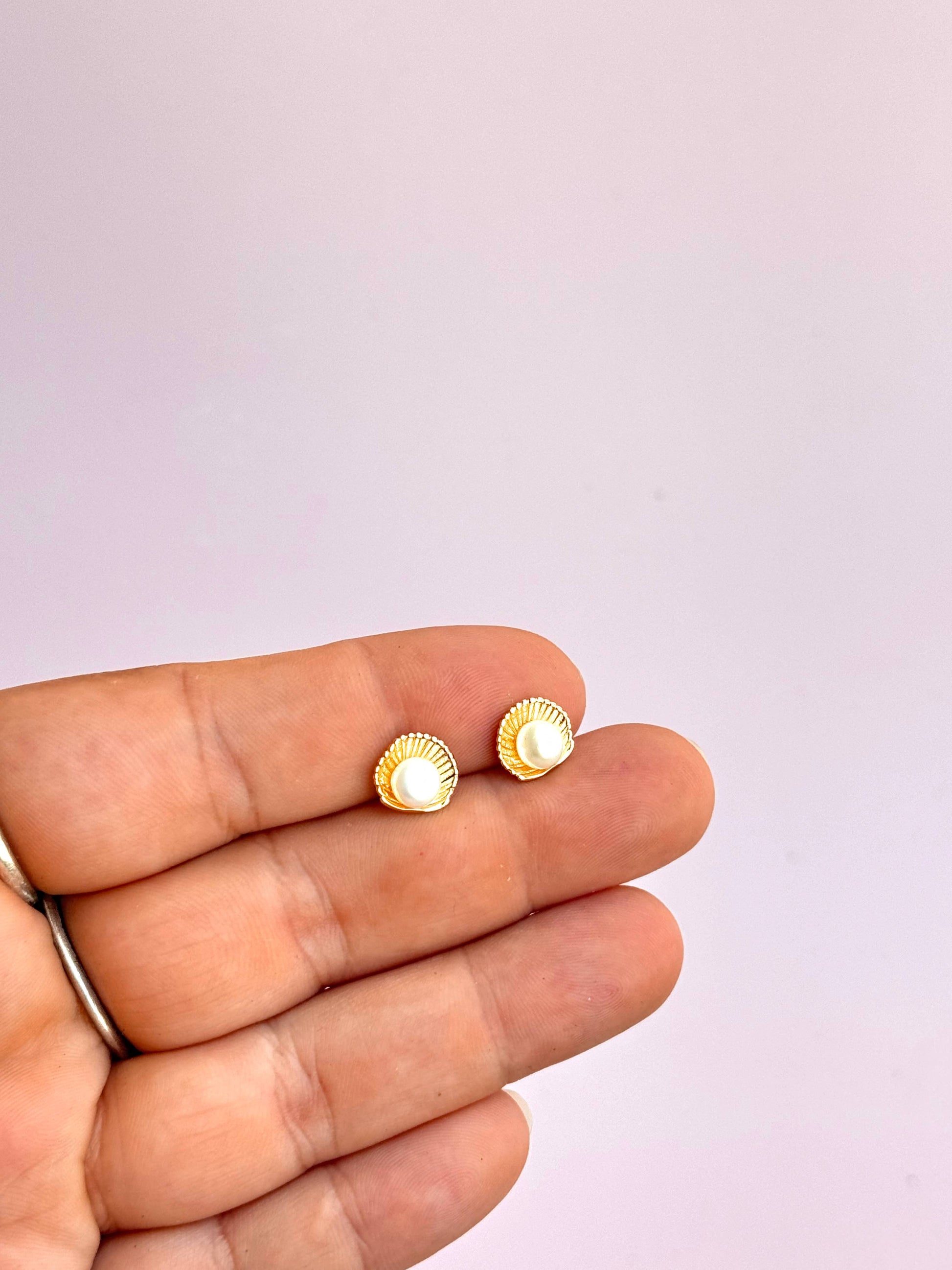 Shell & Pearl Studs - Concordia Style Boutique