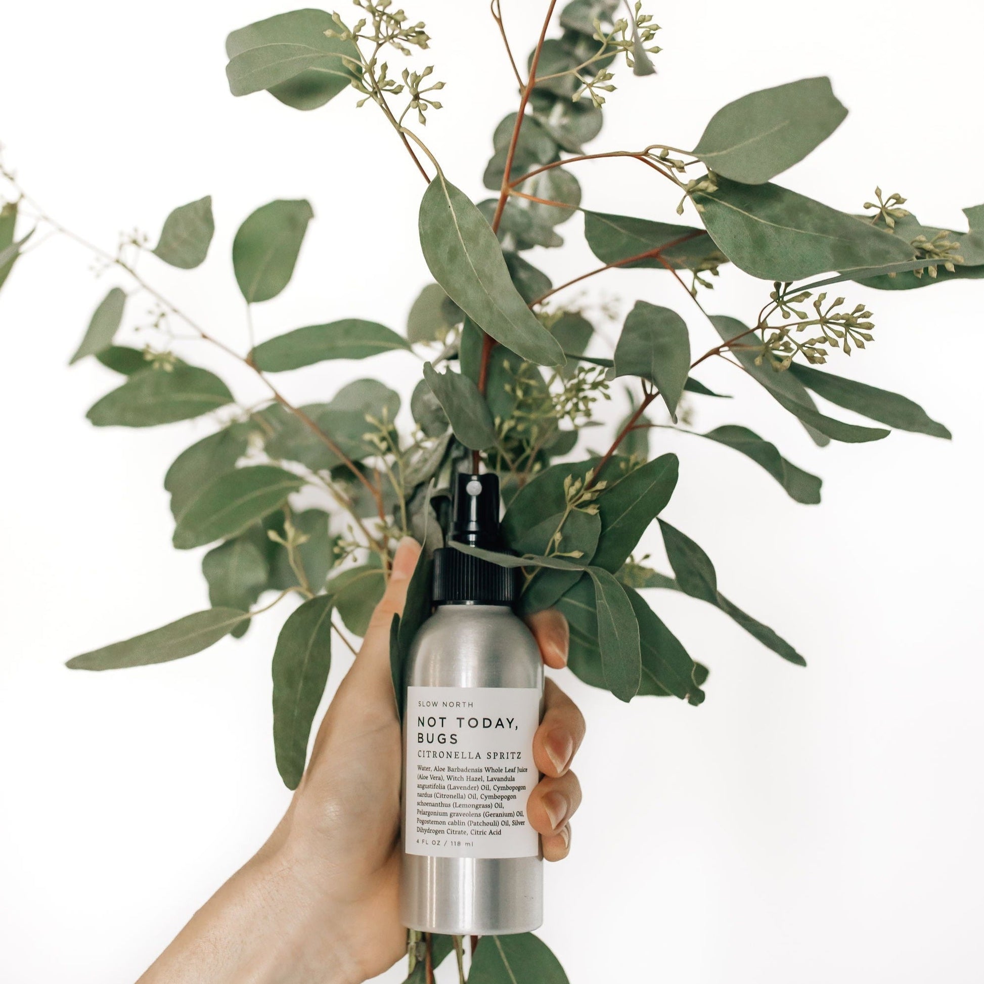 Not Today, Bugs - Bug Spray - Concordia Style Boutique