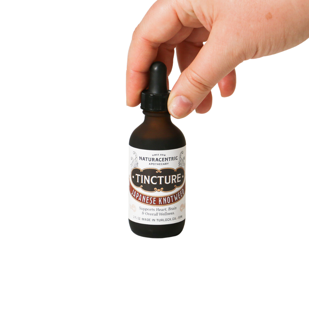 Japanese Knotweed Tincture - Concordia Style Boutique