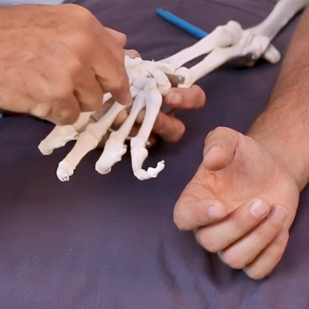 NAT Treating Elbow and Wrist Injuries (2.5 hrs) - Concordia Style Boutique