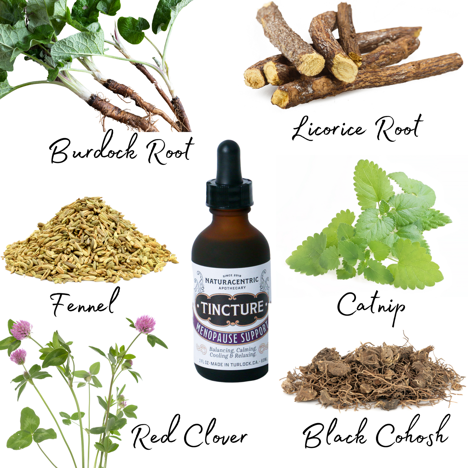 Menopause Support Tincture - Concordia Style Boutique