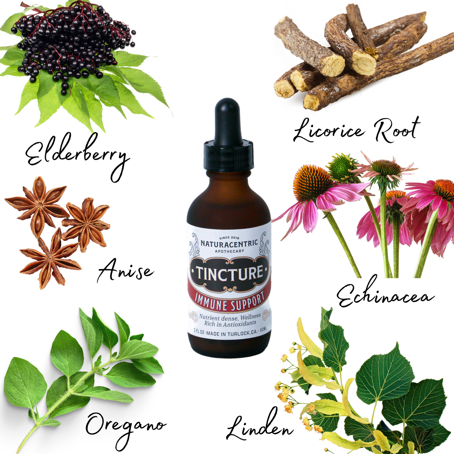 Immune Support Tincture - Concordia Style Boutique