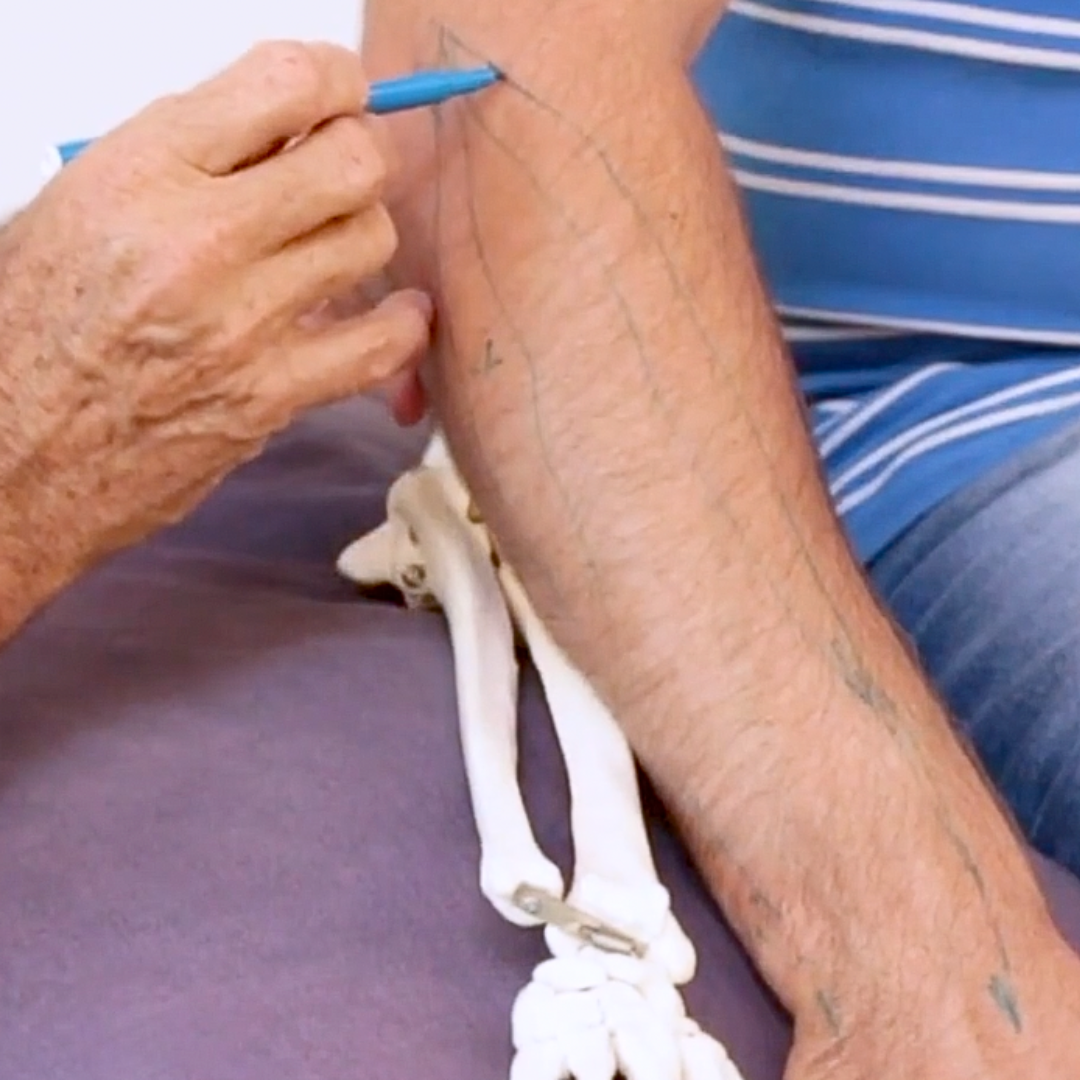 NAT Treating Elbow and Wrist Injuries (2.5 hrs) - Concordia Style Boutique